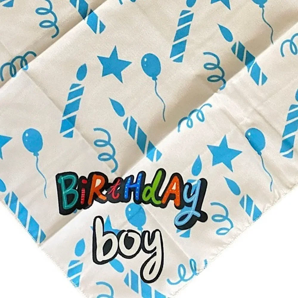 Dog Birthday Boy Bandana New With Birthday Party Hat, Furbaby Pet